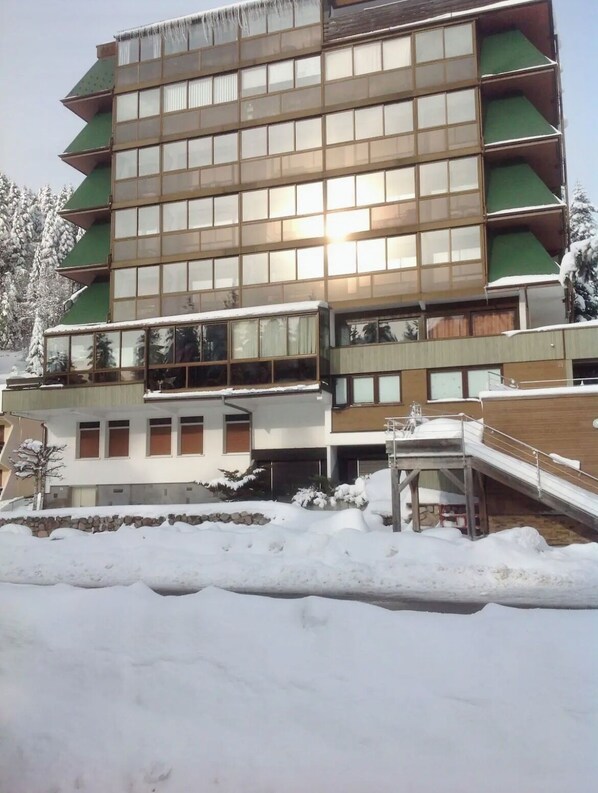 Exterior - Studio at the foot of the slopes/Mountaineering/Hiking accrobranche La Bresse (La Bresse)