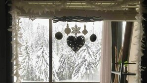 A window with a view of snow-covered trees, a white curtain, and a shelf with a small plant and a candle holder. - Studio at the foot of the slopes/Mountaineering/Hiking accrobranche La Bresse (La Bresse)