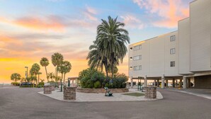 A hotel courtyard with palm trees, a bench, and a parking area. - Partial Bay Views & Pool 1BR (Tampa)