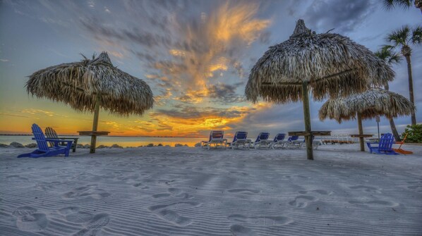 Beach - 1BR on Tampa Bay - Full Kitchen, Pool & Beach (Tampa)