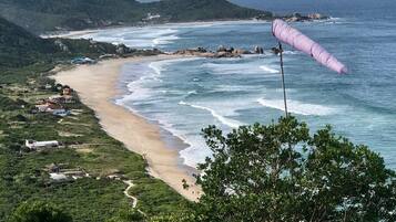 A coastal landscape with a beach, ocean waves, and a pink windsurfing sail.