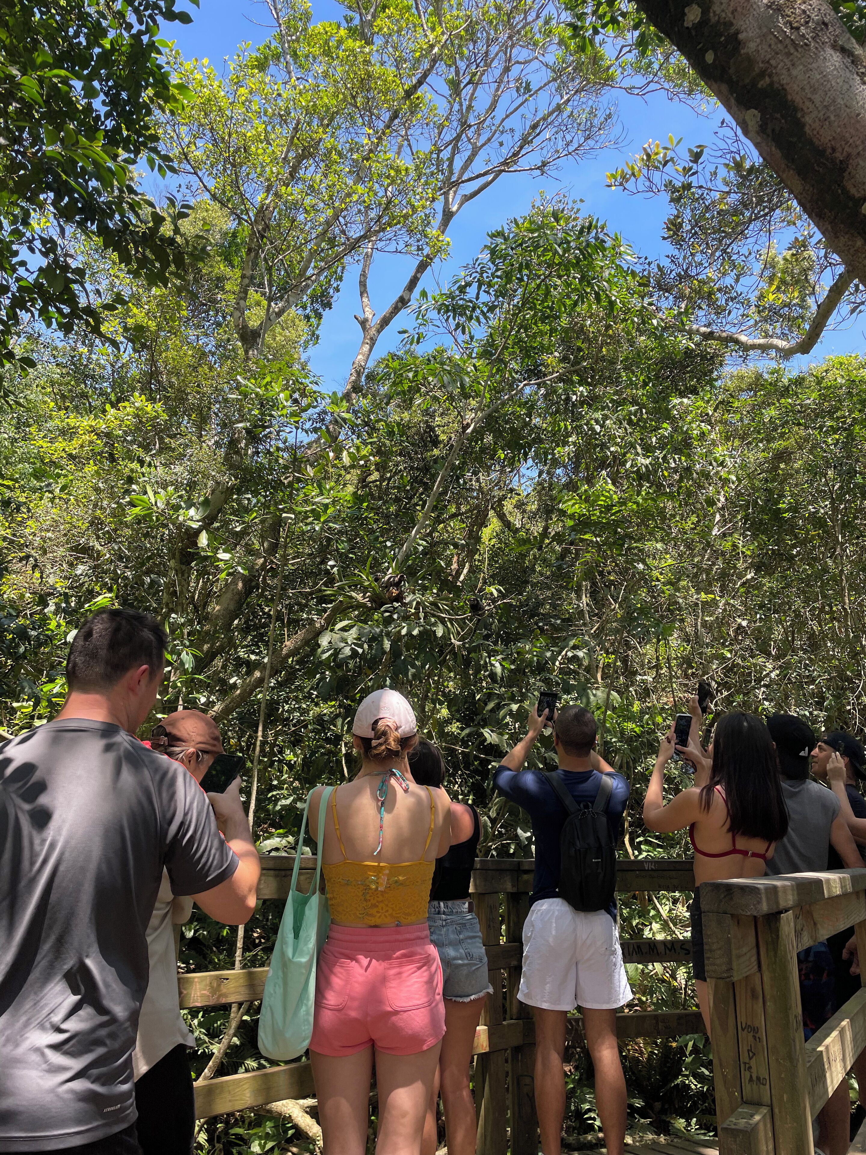 Foto - Nômades Beach House - Adventure Hostels