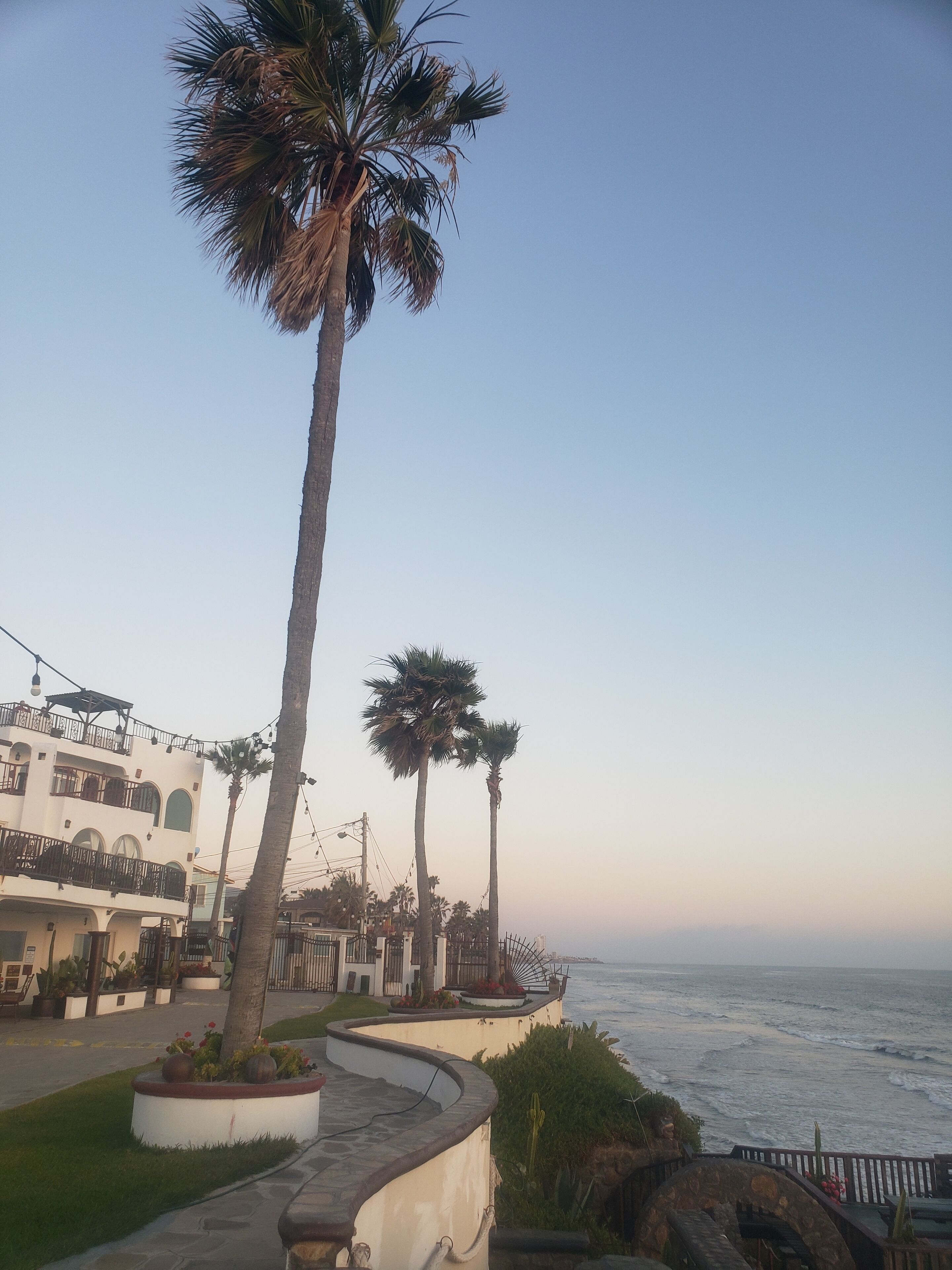A coastal building with a curved balcony overlooking the sea, palm trees, and a clear sky.