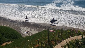 A beach with a rocky shoreline, a cactus garden, and a clear view of the ocean.
