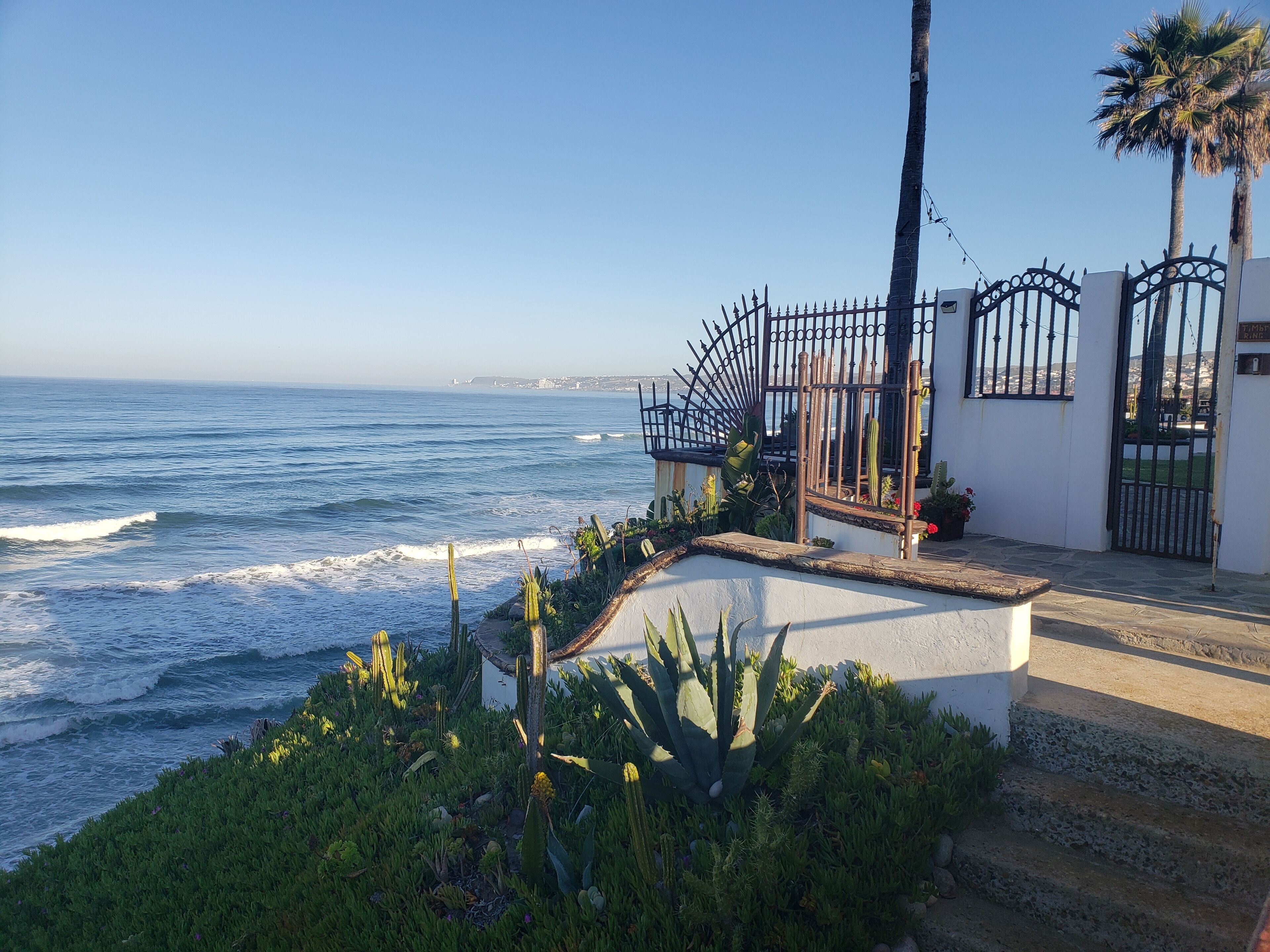 A coastal view with a white building, a black metal gate, and a cactus garden.