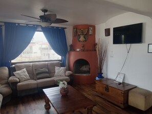 Una Smart TV, una chimenea, libros, una pantalla de ordenador