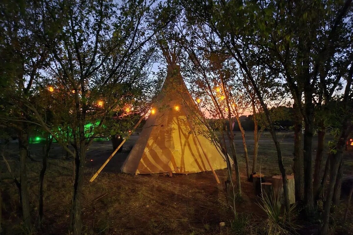 A tent set up in a natural environment with trees surrounding it.
