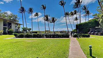 شقة (2 Bedrooms) | وسائل الراحة في المنشأة