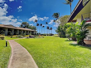 Condo (2 Bedrooms) | Property amenity - Waiohuli Beach Hale #211 (Kihei)