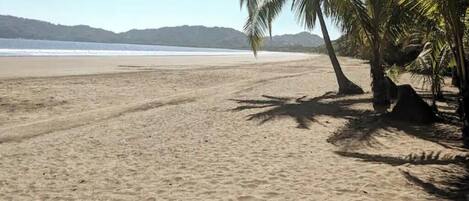 Chaises longues, serviettes de plage