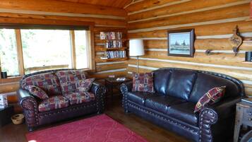 TV, fireplace, books