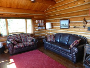 TV, fireplace, books