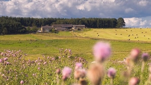 Un paisaje rural con una casa de campo, campos abiertos y un bosque al fondo.