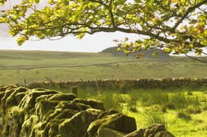 Cottage | Golf - Tranquil 3 Bed - All En Suite - Cottage in Hexham (Hexham)