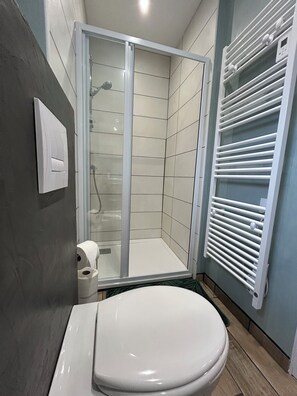 Shower, hair dryer, towels, toilet paper - One-bedroom apartment for 4 people (Issoudun)