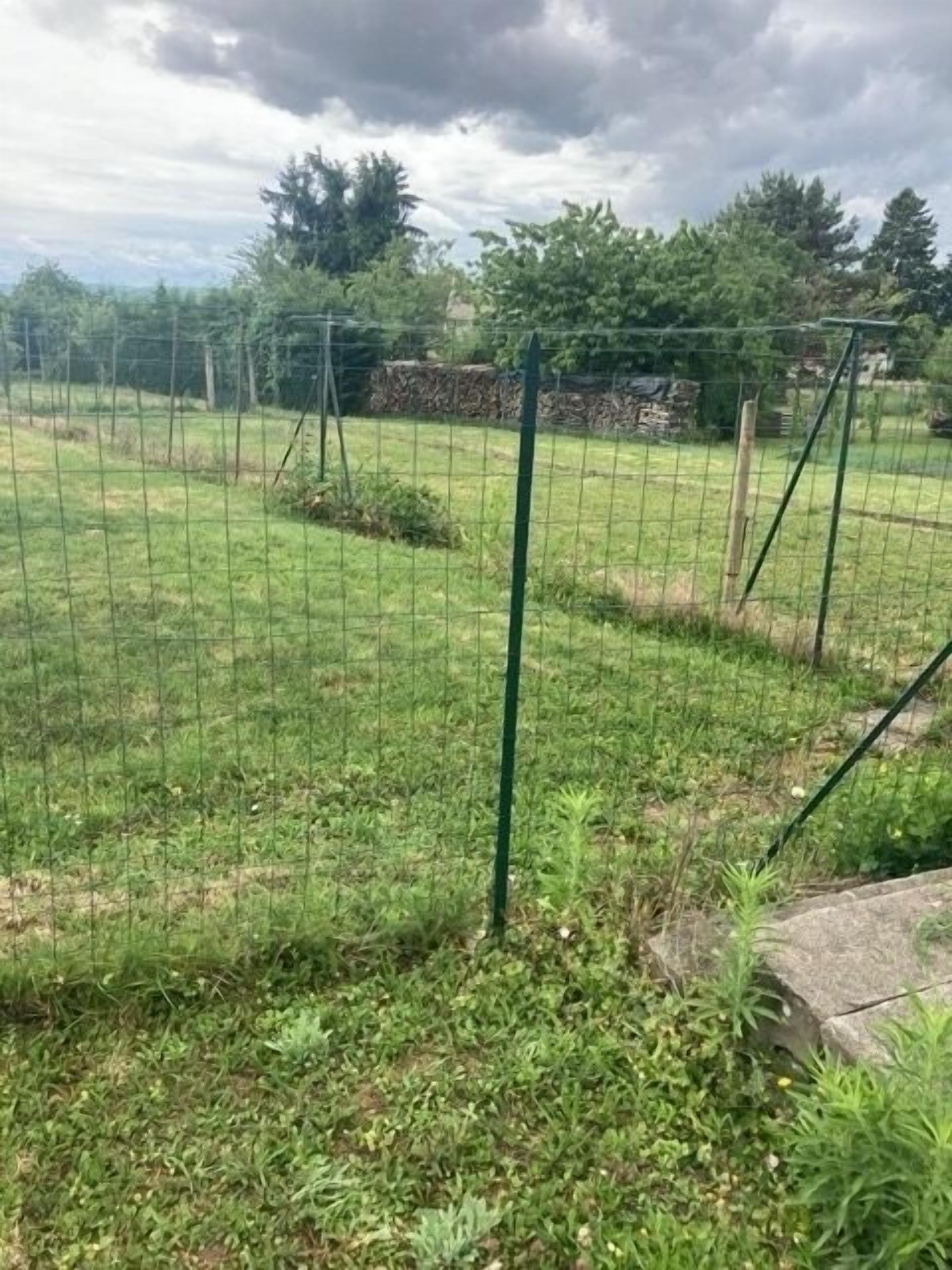 Een omheind buitengebied met een gazon, een stenen muur en bomen op de achtergrond.