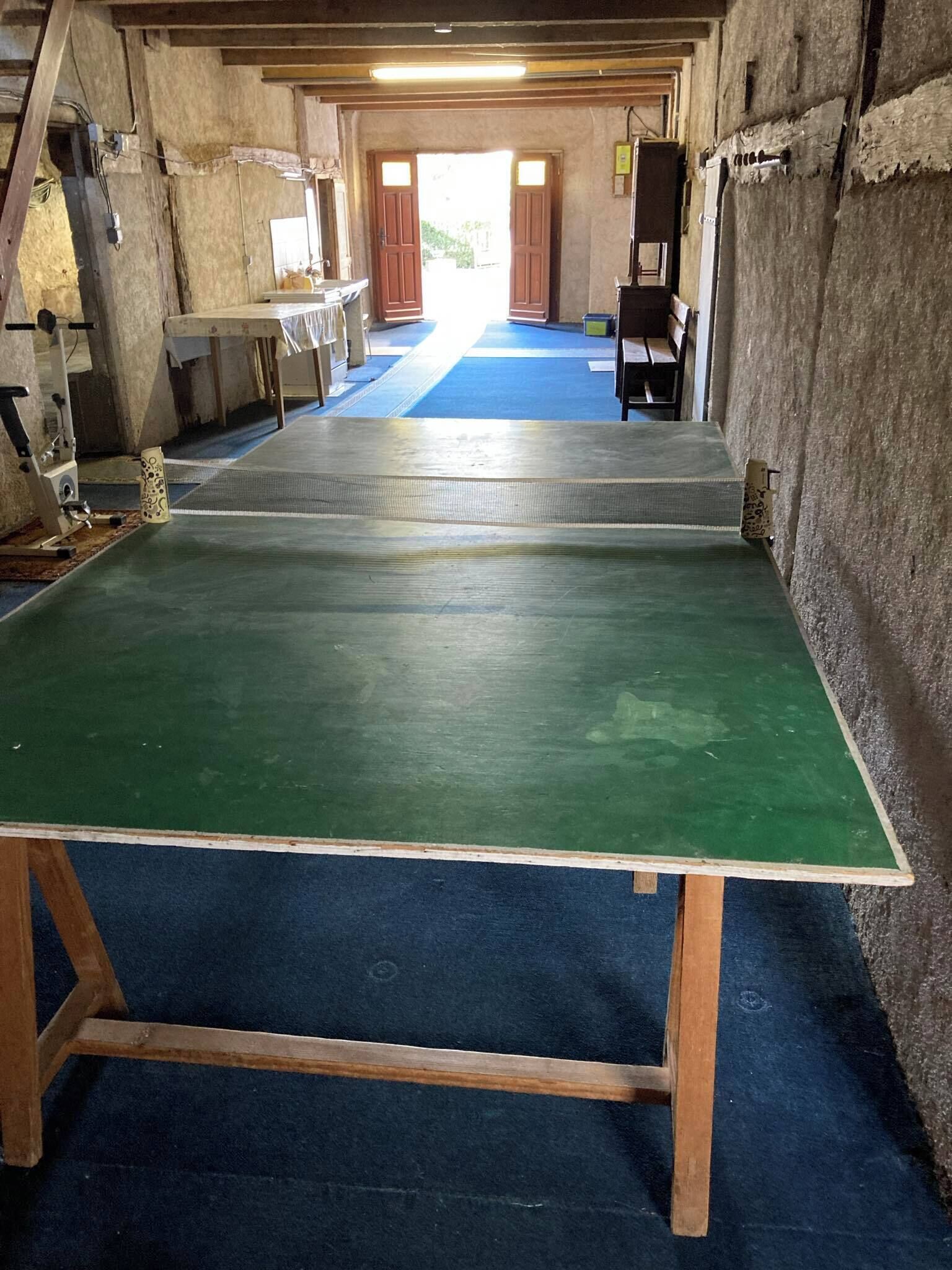 Ein Zimmer mit einem grünen Tischtennis-Tisch, blauem Teppich und Holzmöbeln.