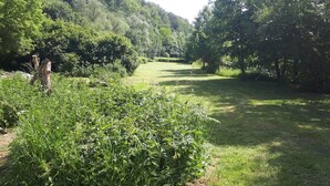 Un sendero de hierba rodeado de abundante vegetación y árboles.