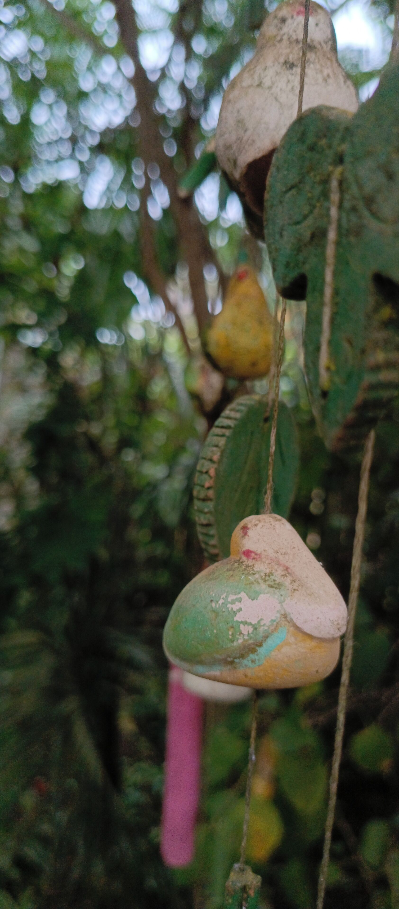 A close-up of a plant with a green and yellow flower, surrounded by green leaves and branches.