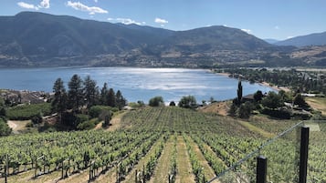 Vue depuis l’hébergement