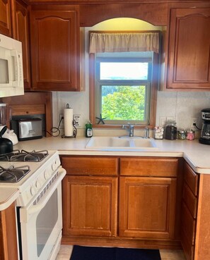 Mikrowelle, Herdplatte, Geschirrspüler