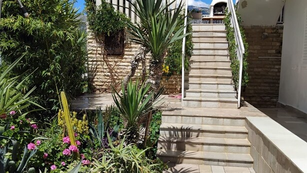 A stone staircase leading to a white building with a garden area featuring various plants and flowers. - Villa Marija - Five Bedroom Villa with Terrace and Swimming Pool (Podstrana)