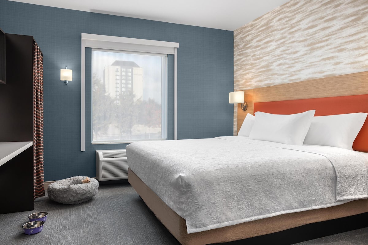 A hotel room with a bed, a pet bed, a window, a wall-mounted lamp, and a view of a building outside.