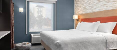 A hotel room with a bed, a pet bed, a window, a wall-mounted lamp, and a view of a building outside.