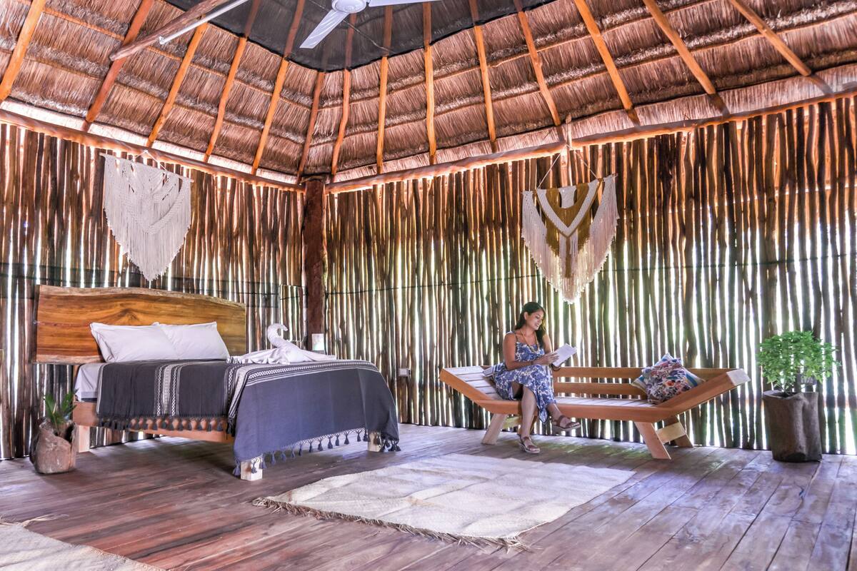A room with a bed, a bench, a potted plant, and a ceiling fan.