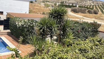 Villa | Property grounds