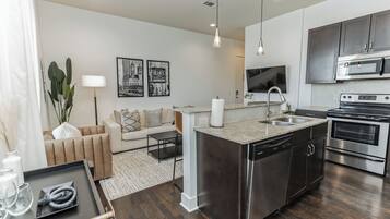 Lägenhet - 1 kingsize-säng - kök - utsikt mot staden (Park Place) | Eget kök | Kylskåp, mikrovågsugn, ugn och spishäll