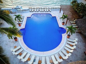 Ein großer, klarer blauer Pool mit Liegestühlen und umliegenden Palmen.