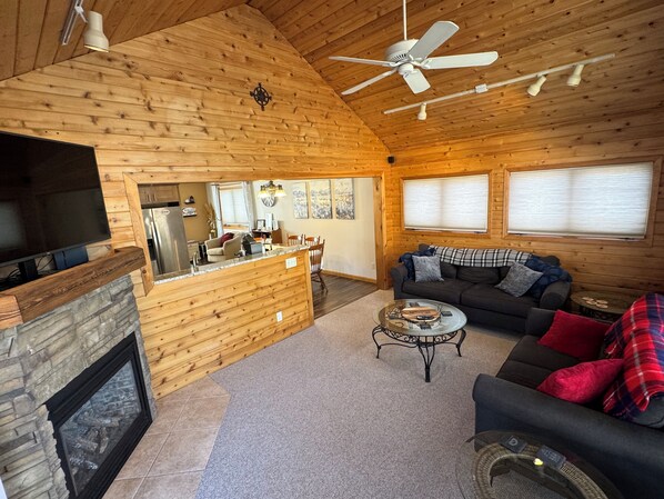 Smart TV, fireplace, books