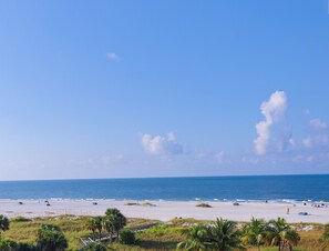 Una playa con un paseo de madera que lleva a la orilla, palmeras y el océano.