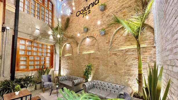 Ein gemütlicher Lounge-Bereich mit Backsteinwand, einer Couch und diversen Pflanzen.