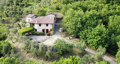 Casa Vacanze La Casala