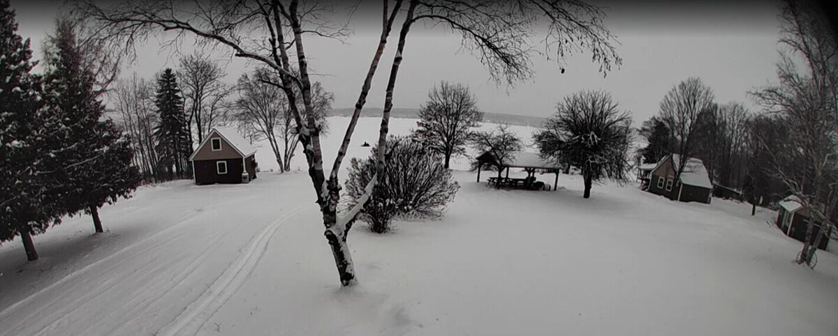 Imagen de perfil del propietario o de la propietaria