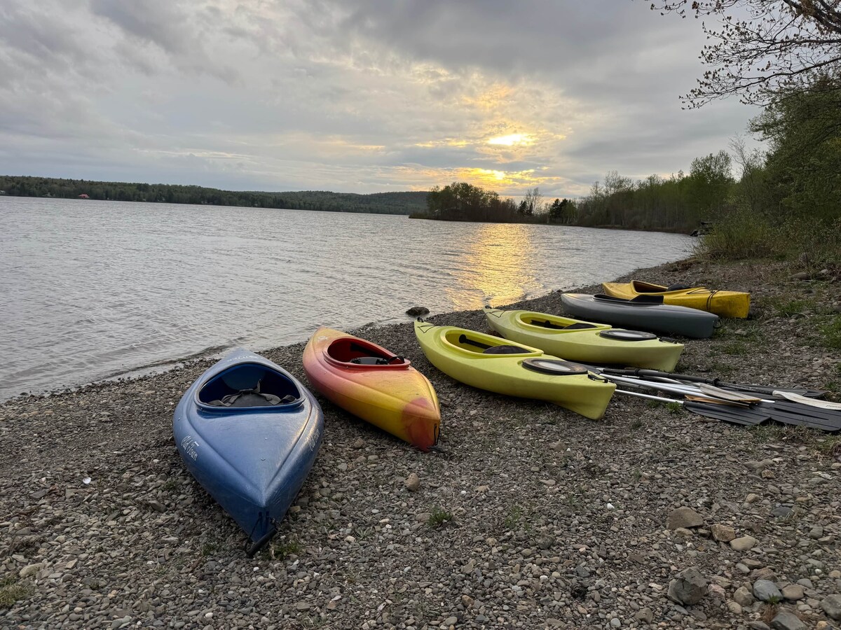 Imagen de perfil del propietario o de la propietaria
