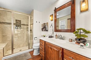 Hair dryer, towels, soap, shampoo