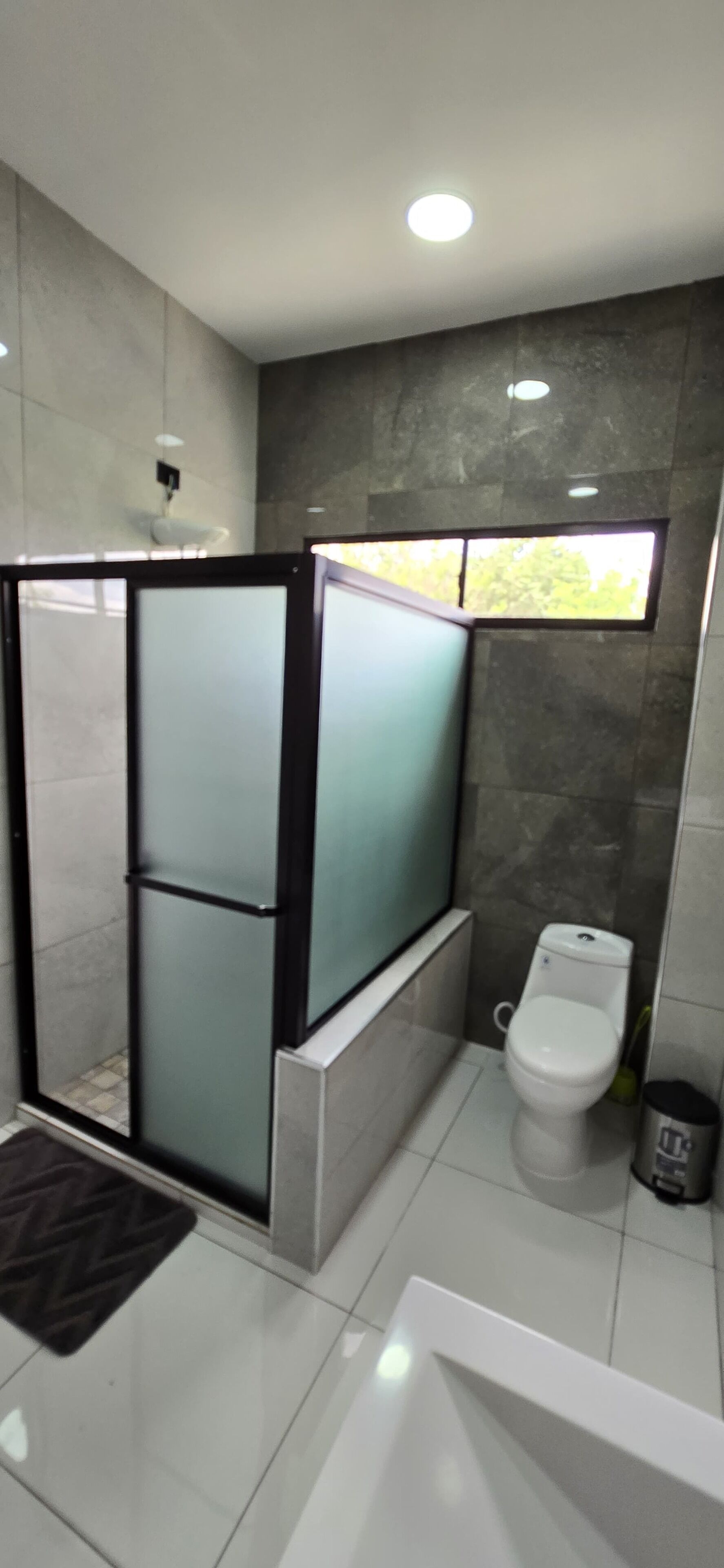 A modern bathroom with a glass shower enclosure, a toilet, and a sink.