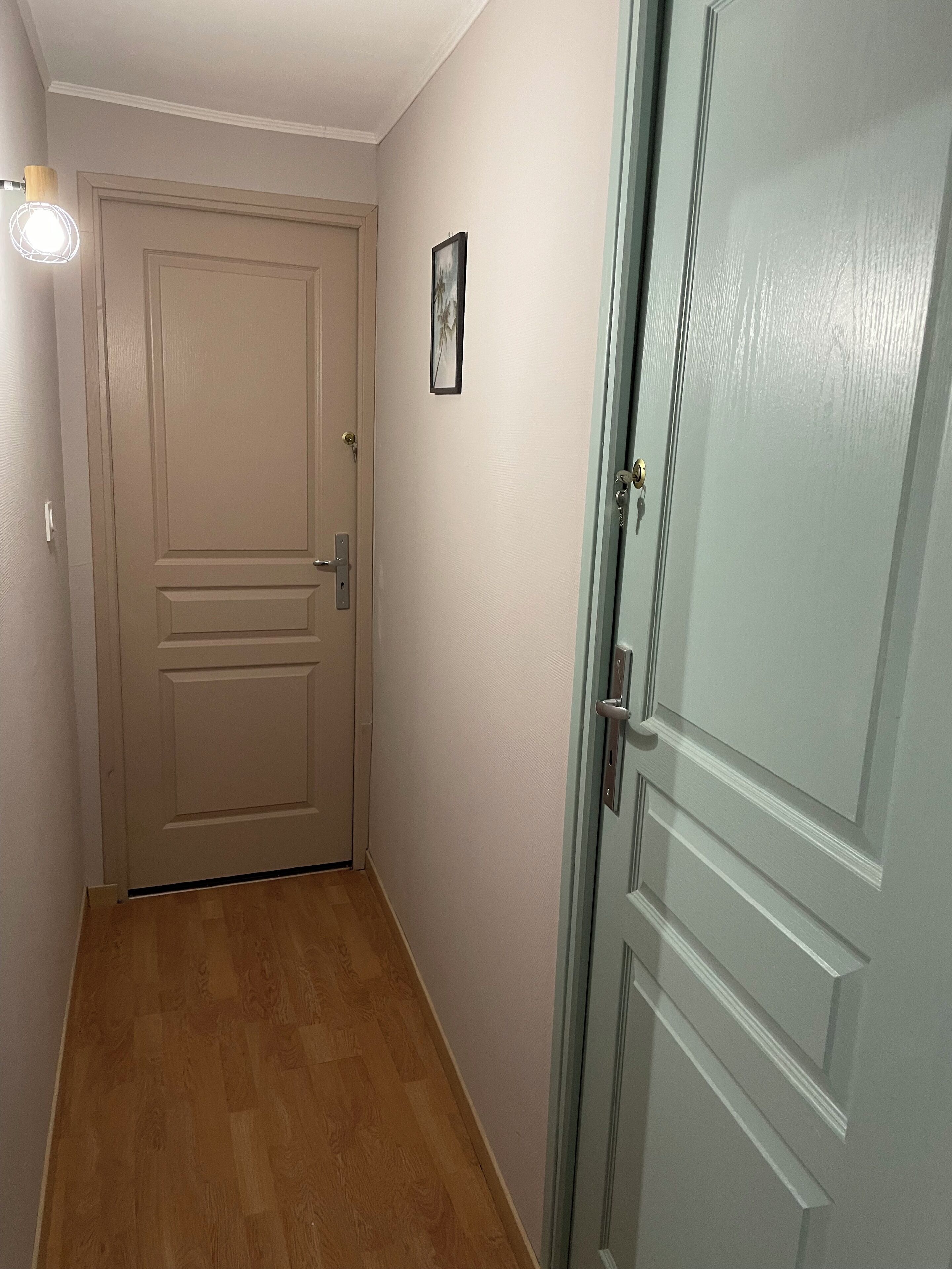 A narrow hallway with a wooden floor, a closed door with a handle, and a light fixture on the left.