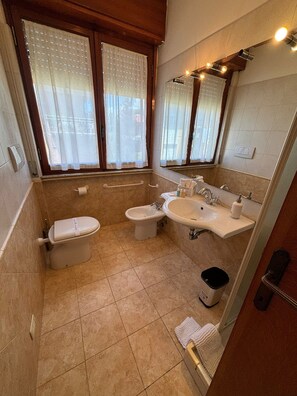 淋浴设施、吹风机、坐浴桶、毛巾