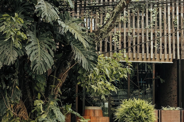 Voorkant van accommodatie