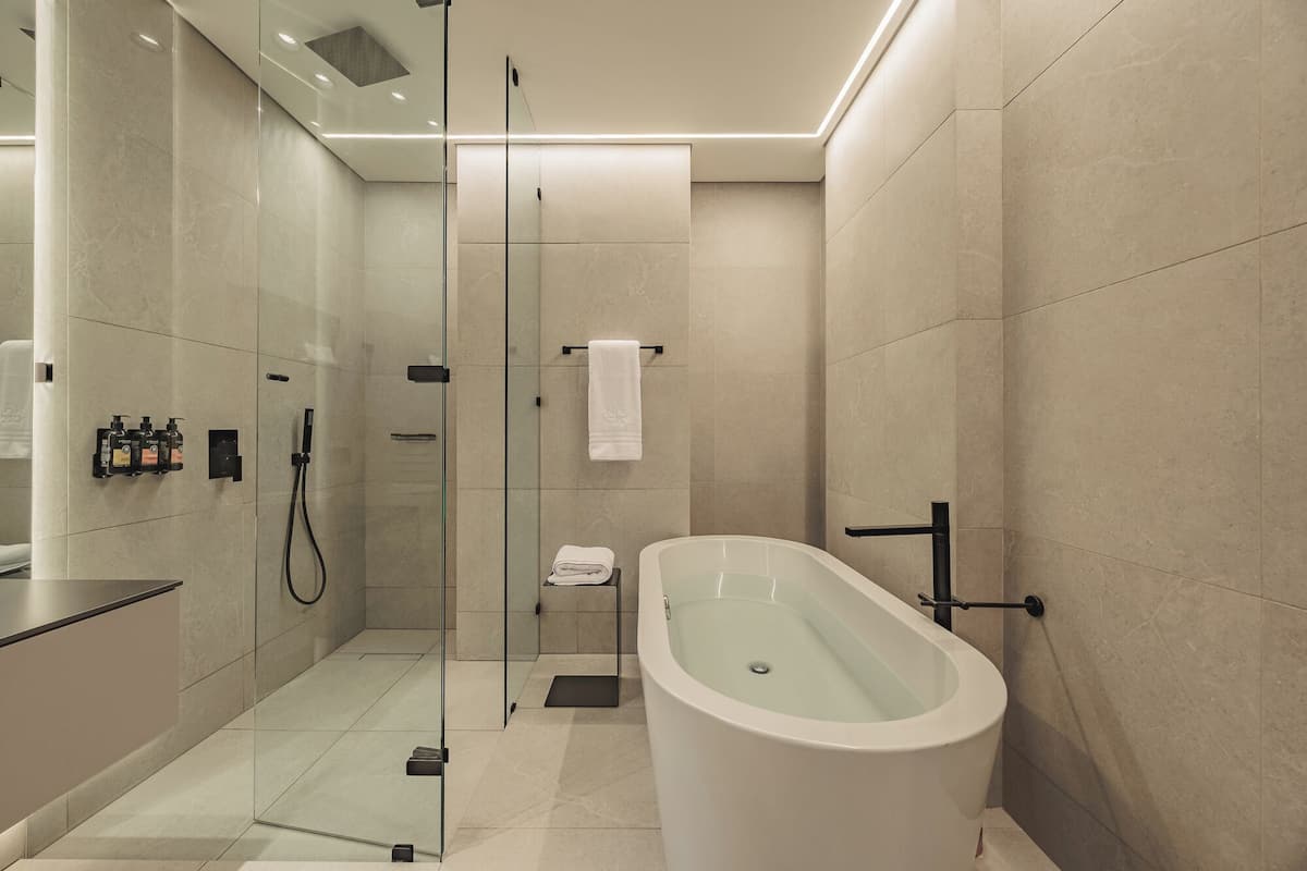 Hair dryer, towels, soap, shampoo
