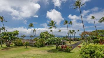 3 chambres, Internet