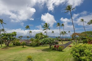 3 bedrooms, Internet - Alaeloa 40 in Napili (Napili)