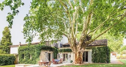 Beautiful Provencal Mas with swimming pool