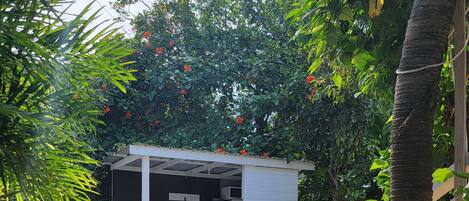 Refrigerador, microondas, parrilla de estufa y tostadora