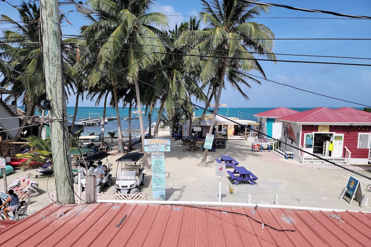 A beachside area with a red-roofed building, palm trees, and a sign for 'CAYMAN SHARKING TOURS'.