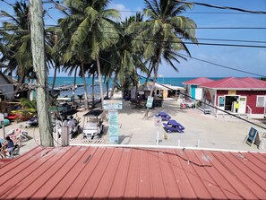 Zona de playa con un edificio de techo rojo, palmeras y un cartel que anuncia 'CAYMAN SHARKING TOURS'.